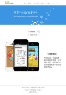 北京微贸科技WEB端网站